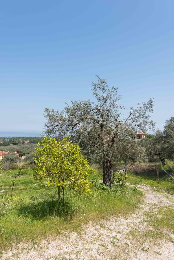 Sea View Holiday home